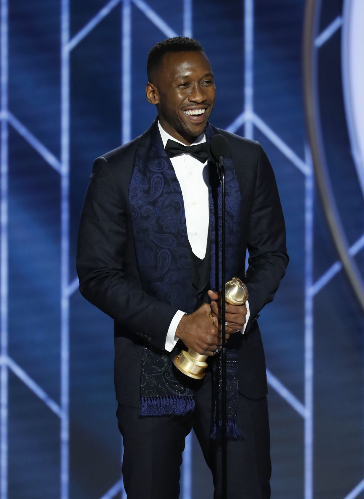 76th Annual Golden Globe Awards - Show
